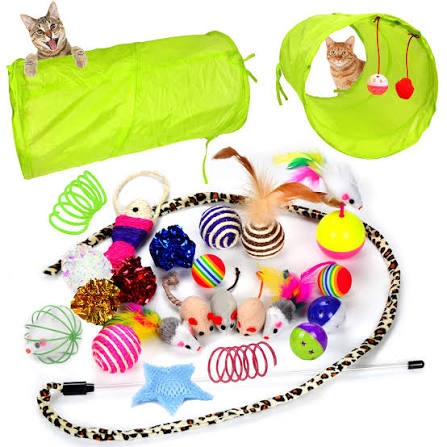 Cat Toy & Accessories