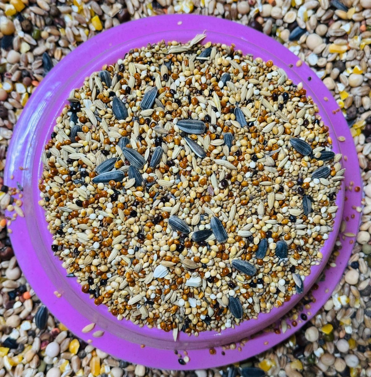 Budgerigar mix premium